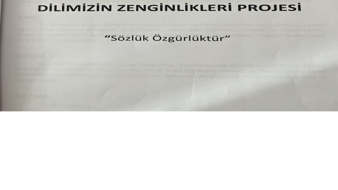 DİLİMİZİN ZENGİNLİKLERİ PROJESİ